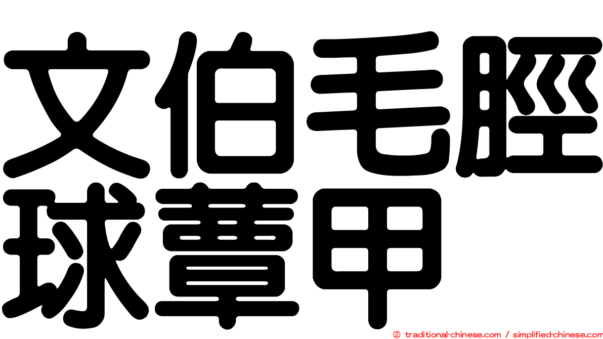 文伯毛脛球蕈甲