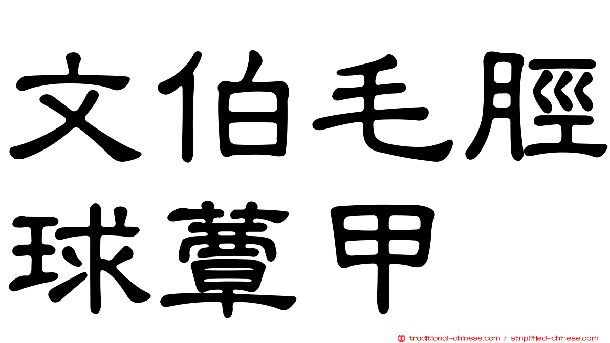 文伯毛脛球蕈甲