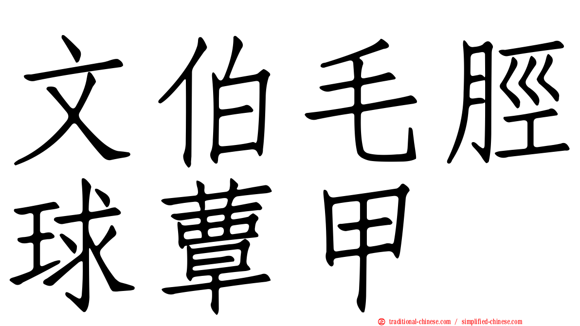 文伯毛脛球蕈甲