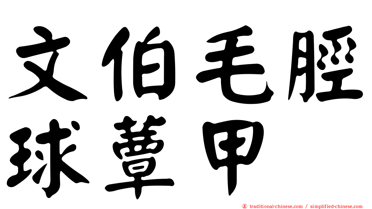 文伯毛脛球蕈甲