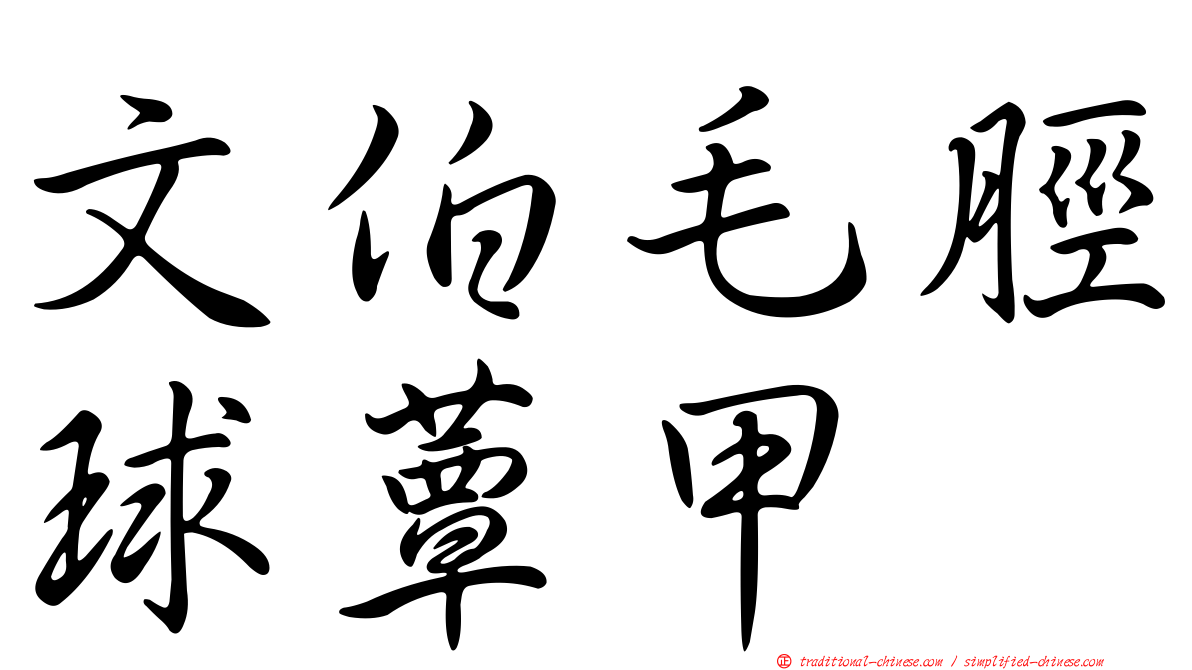 文伯毛脛球蕈甲