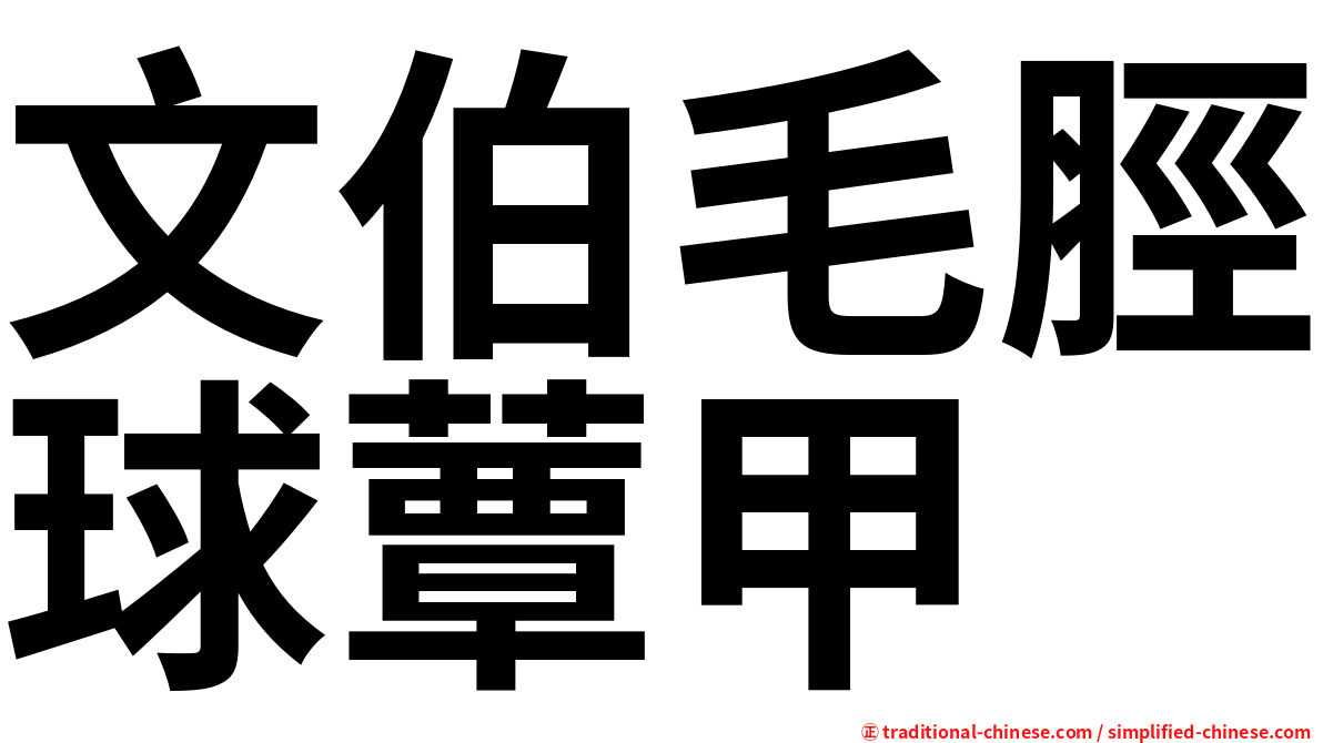 文伯毛脛球蕈甲