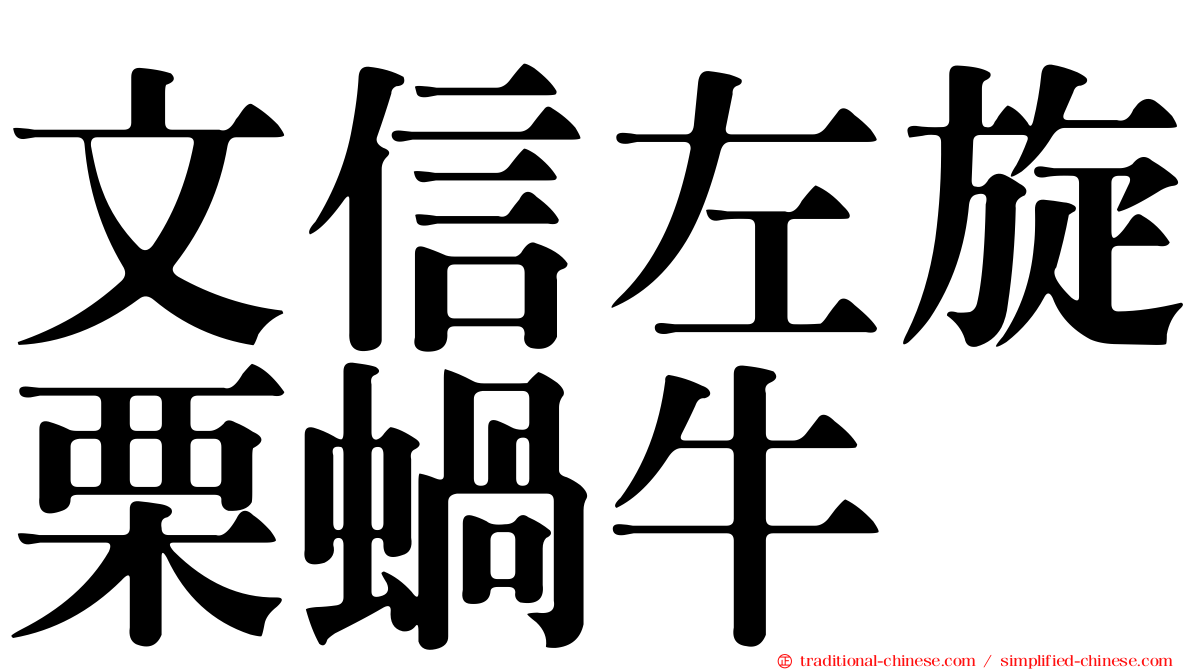 文信左旋栗蝸牛