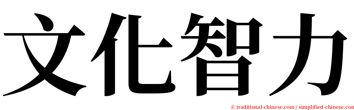 文化智力 serif font