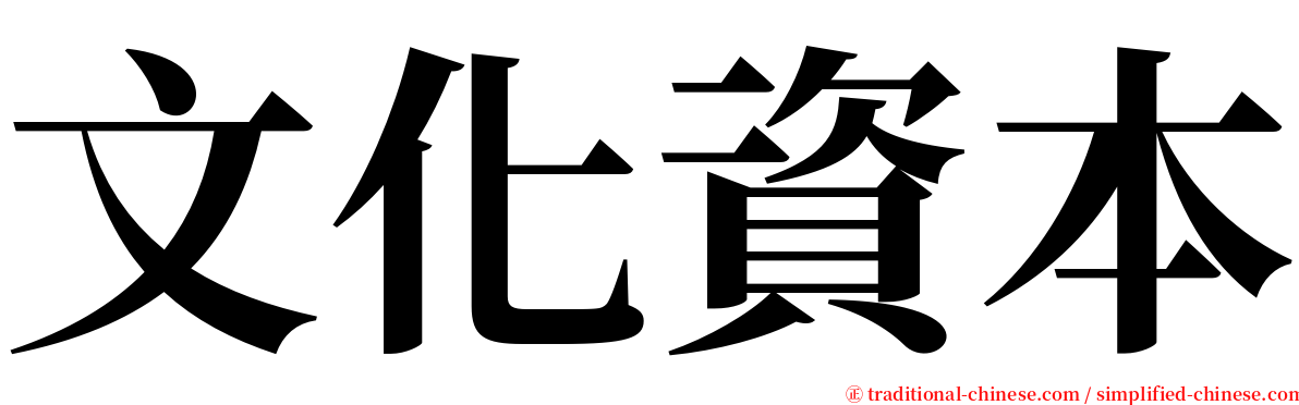 文化資本 serif font