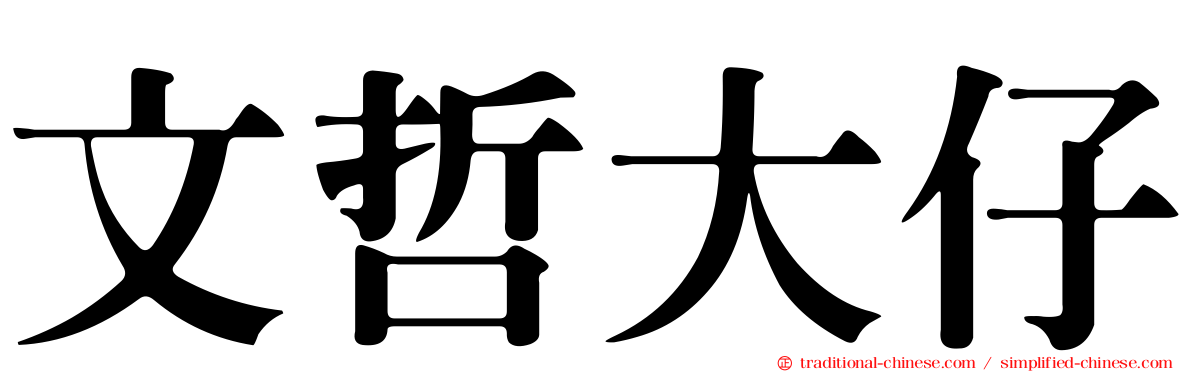 文哲大仔