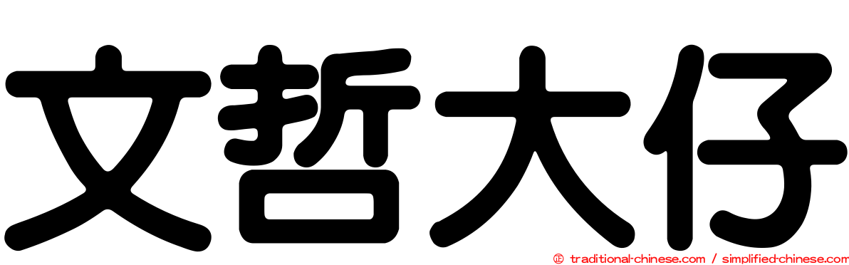 文哲大仔