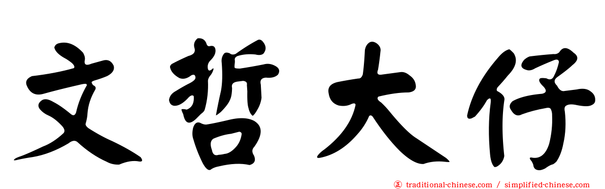 文哲大仔