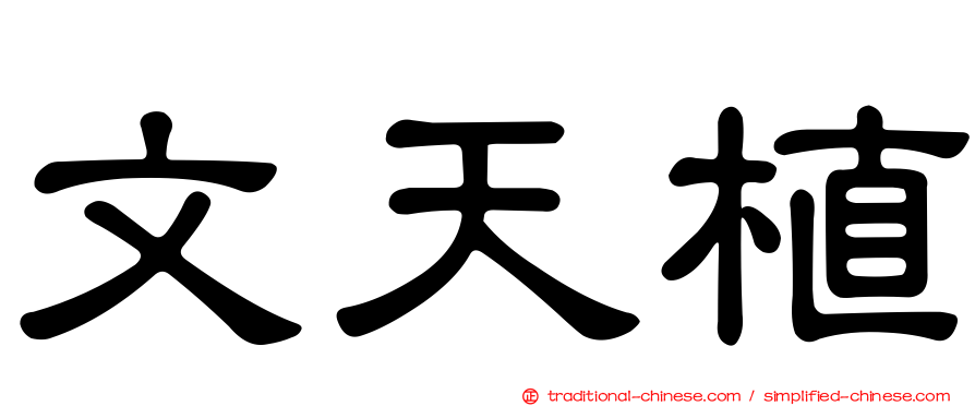 文天植