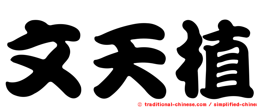 文天植