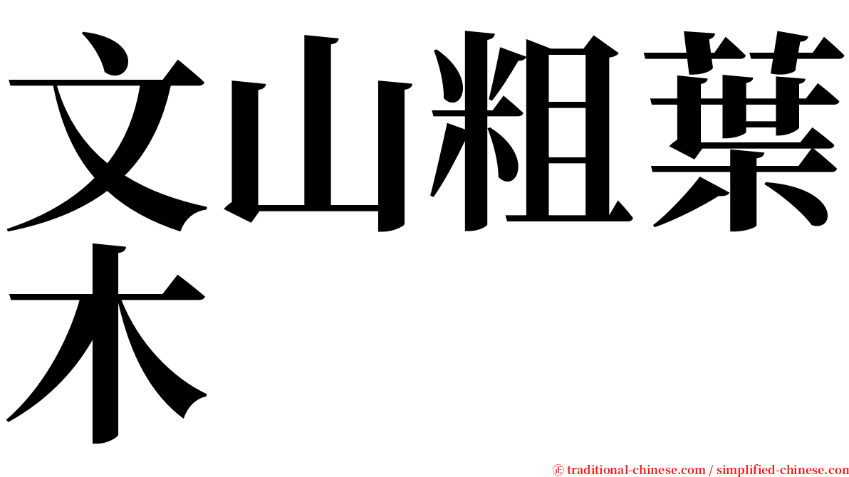 文山粗葉木 serif font