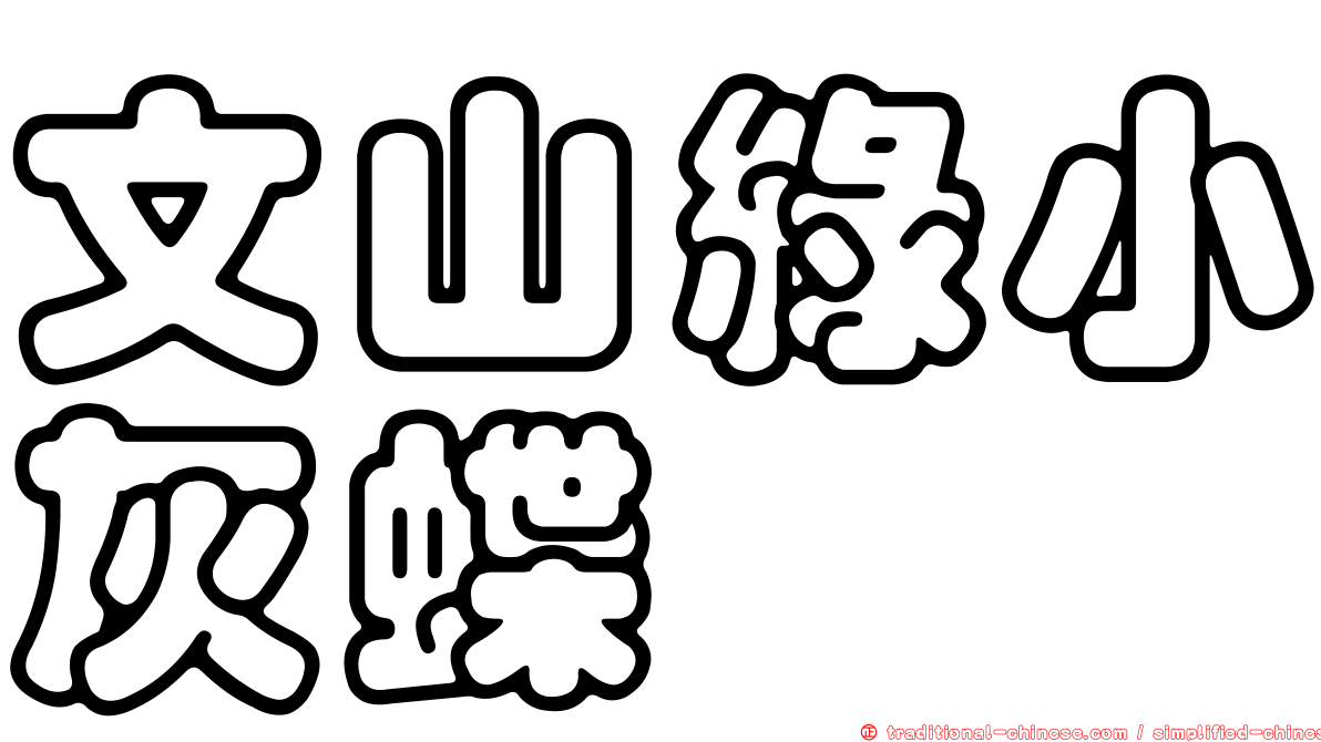 文山綠小灰蝶
