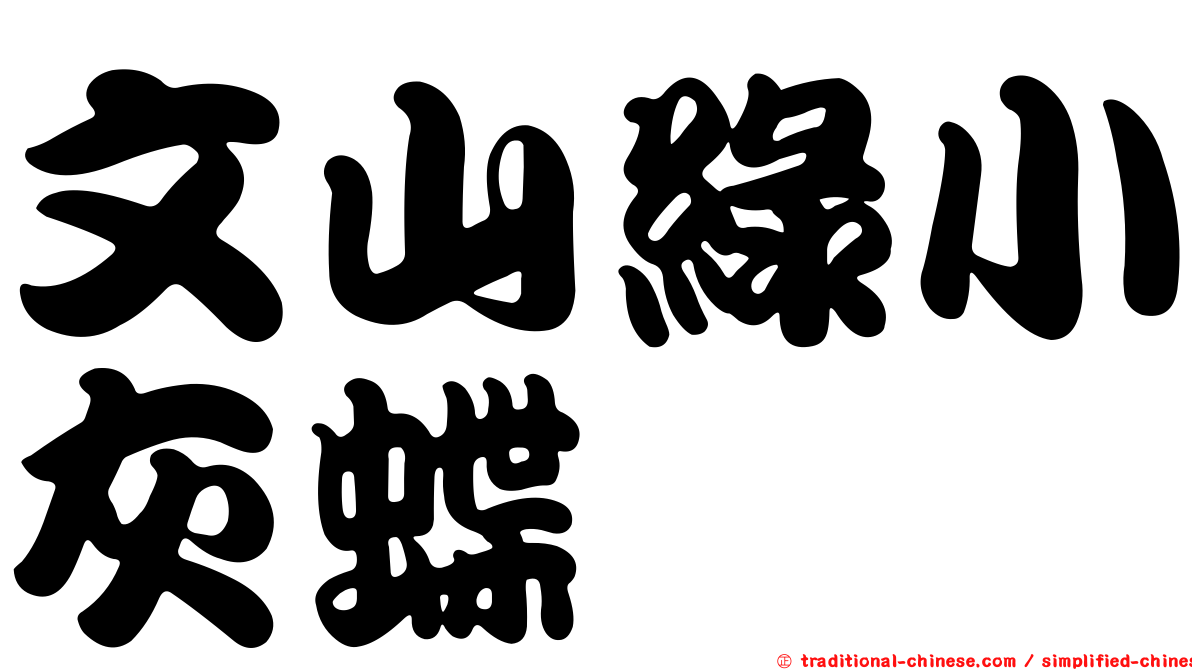 文山綠小灰蝶