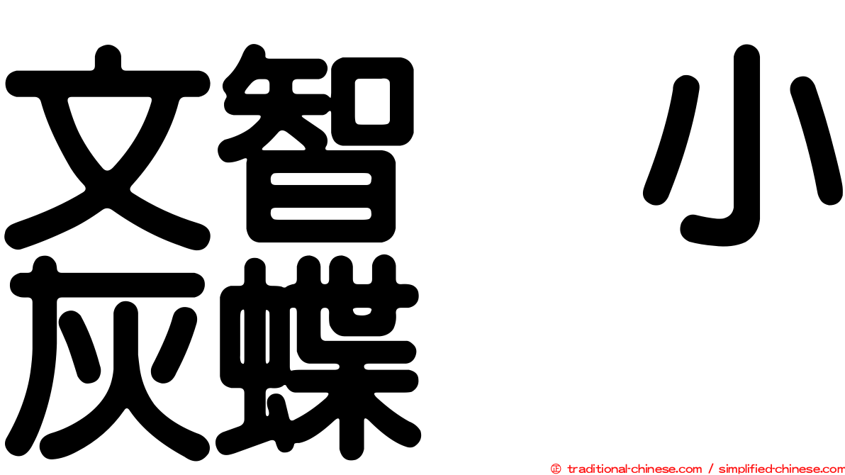 文智烏小灰蝶