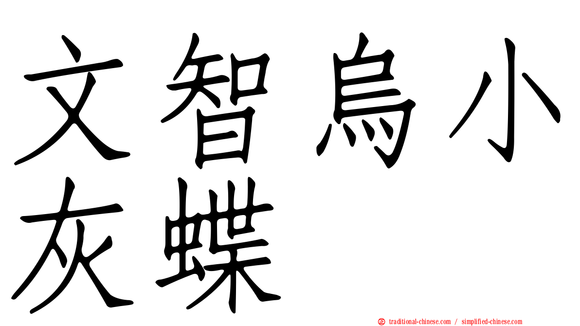 文智烏小灰蝶