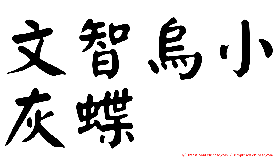 文智烏小灰蝶