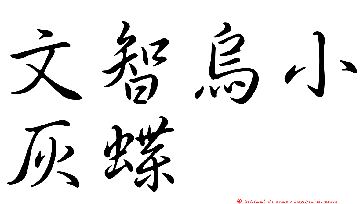 文智烏小灰蝶