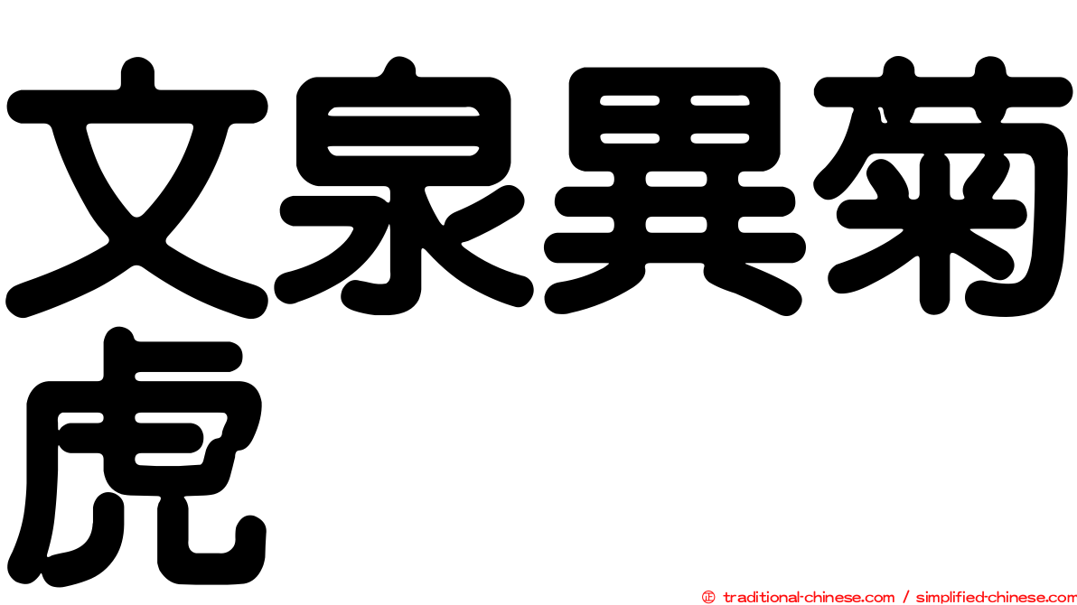 文泉異菊虎