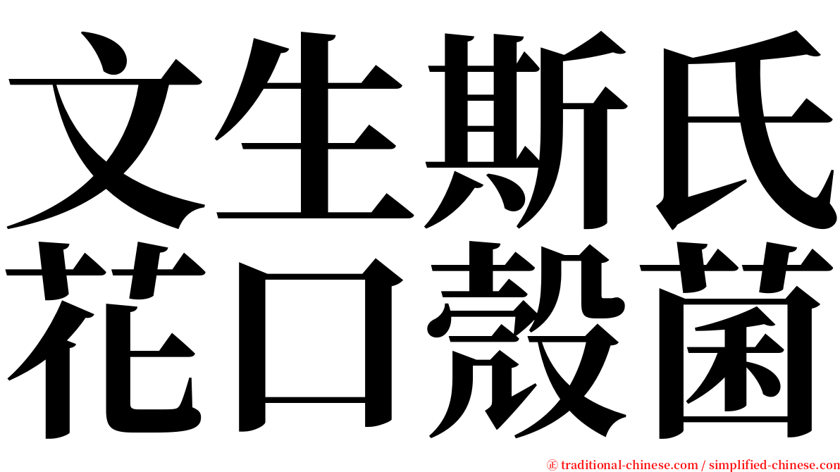 文生斯氏花口殼菌 serif font