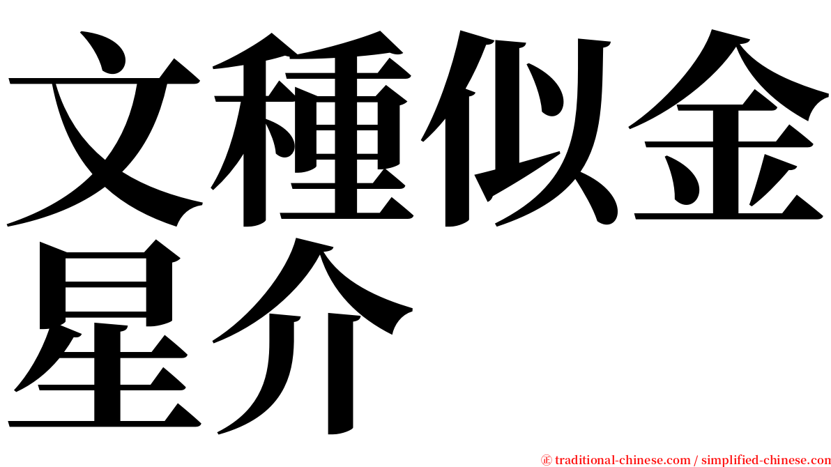 文種似金星介 serif font