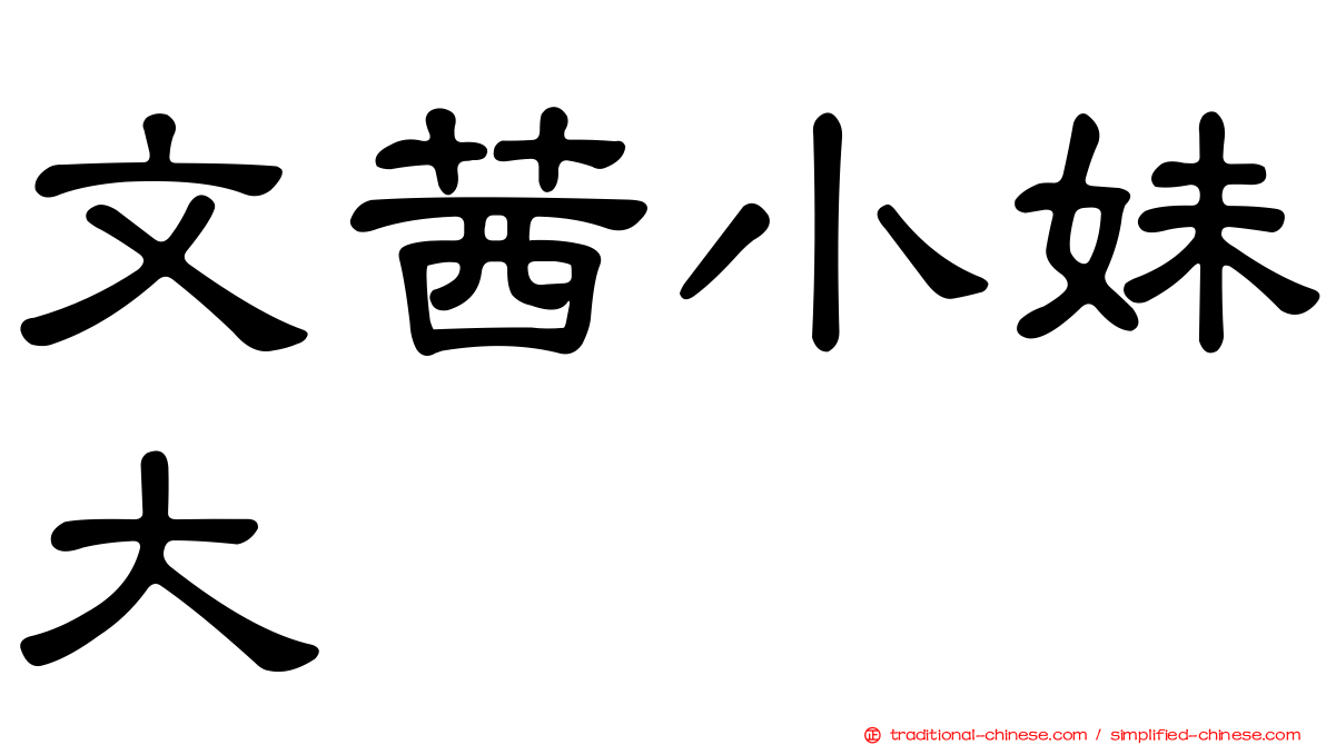 文茜小妹大