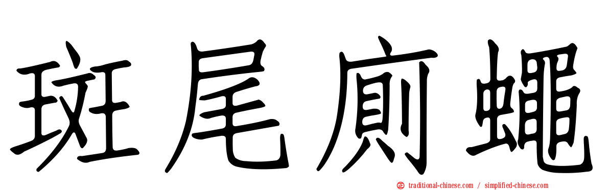 斑尾廁蠅