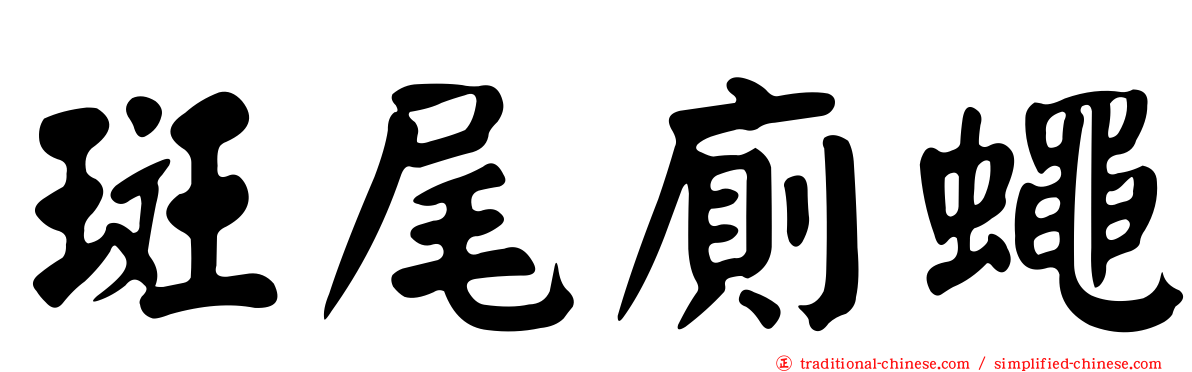 斑尾廁蠅