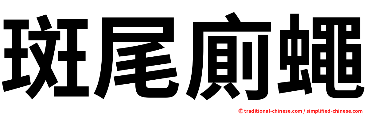 斑尾廁蠅