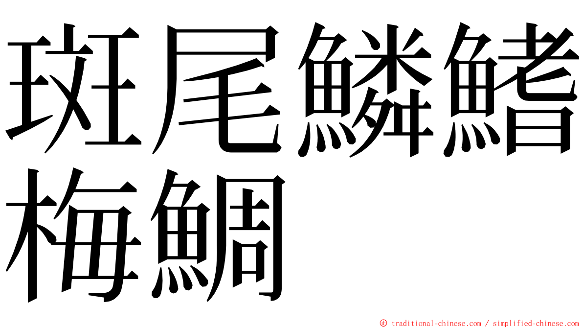 斑尾鱗鰭梅鯛 ming font