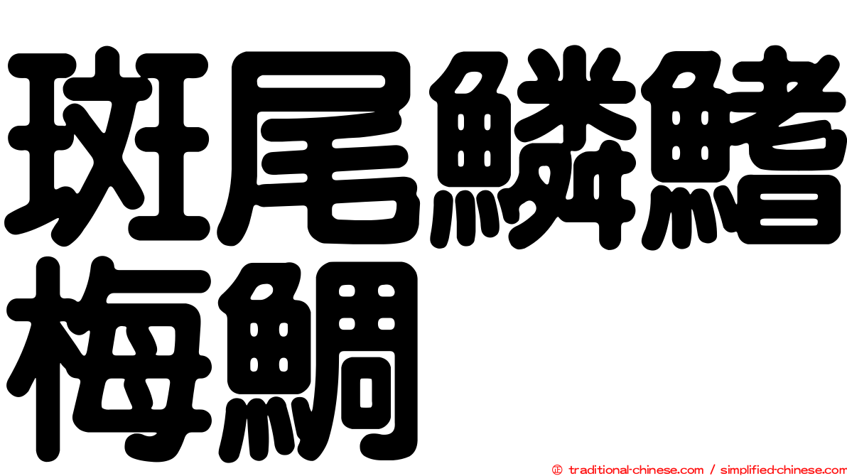 斑尾鱗鰭梅鯛