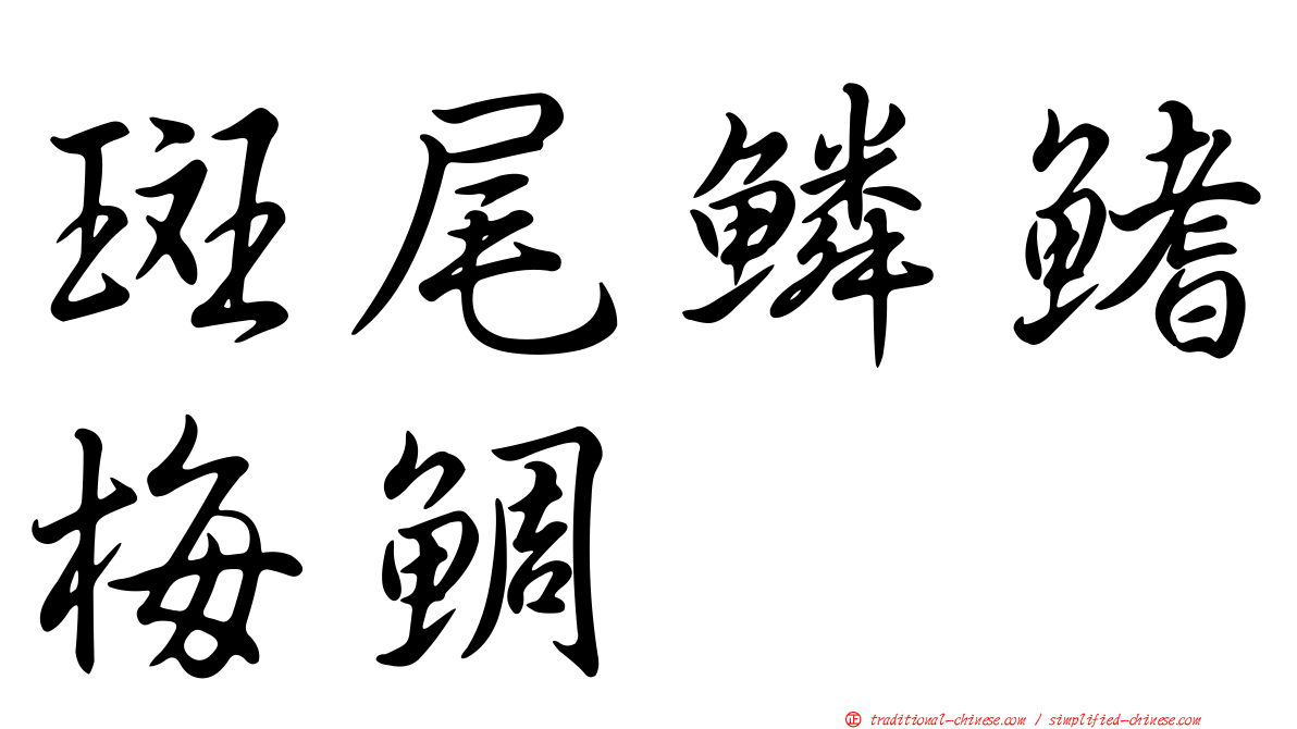 斑尾鱗鰭梅鯛