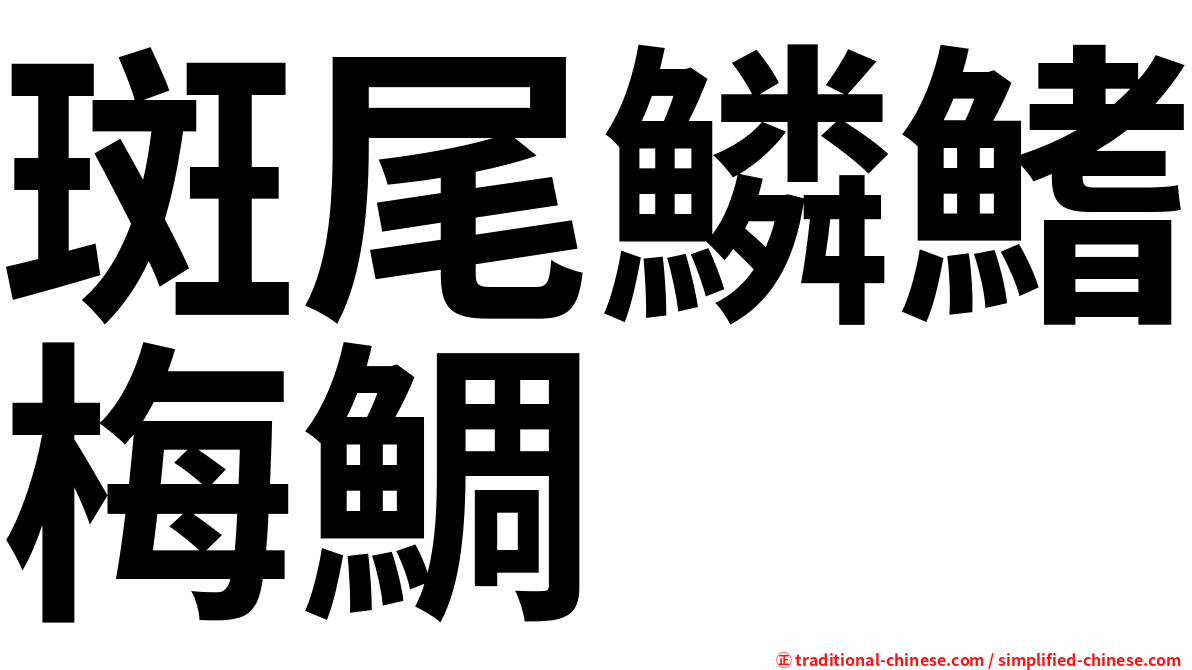 斑尾鱗鰭梅鯛