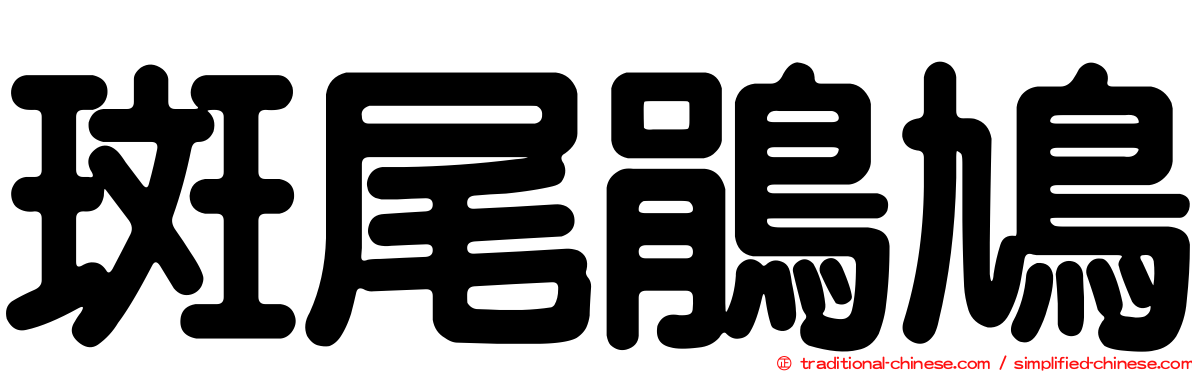 斑尾鵑鳩