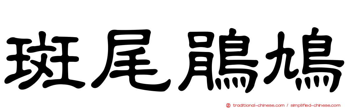 斑尾鵑鳩