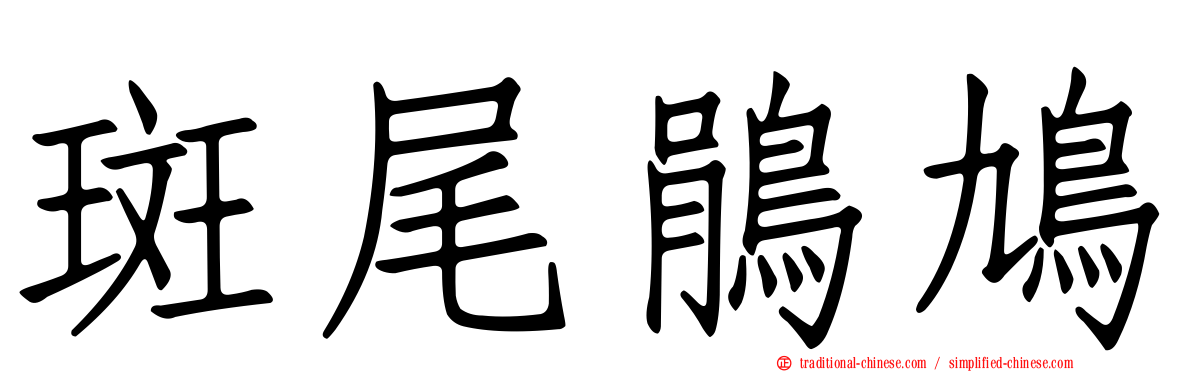 斑尾鵑鳩