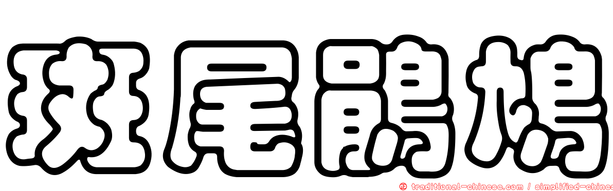 斑尾鵑鳩