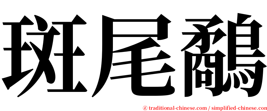 斑尾鷸 serif font