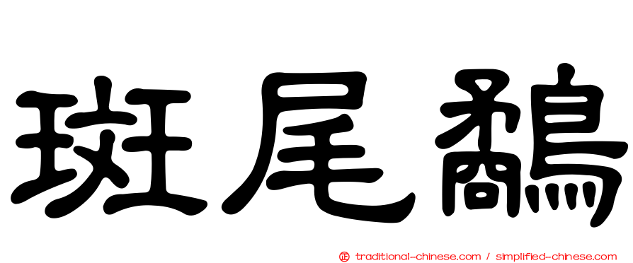 斑尾鷸