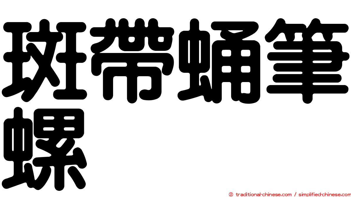 斑帶蛹筆螺