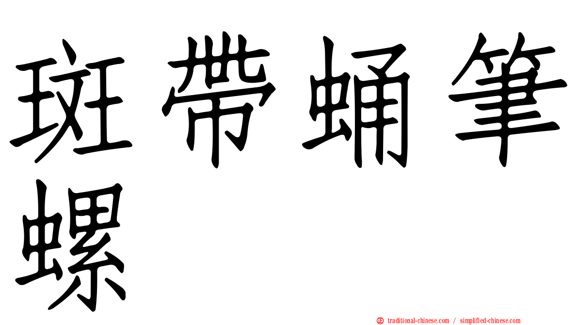 斑帶蛹筆螺