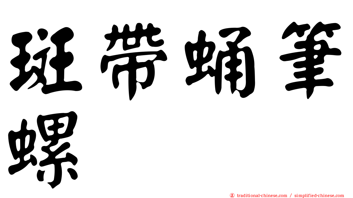 斑帶蛹筆螺