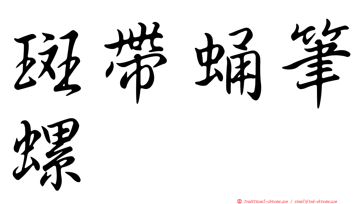 斑帶蛹筆螺