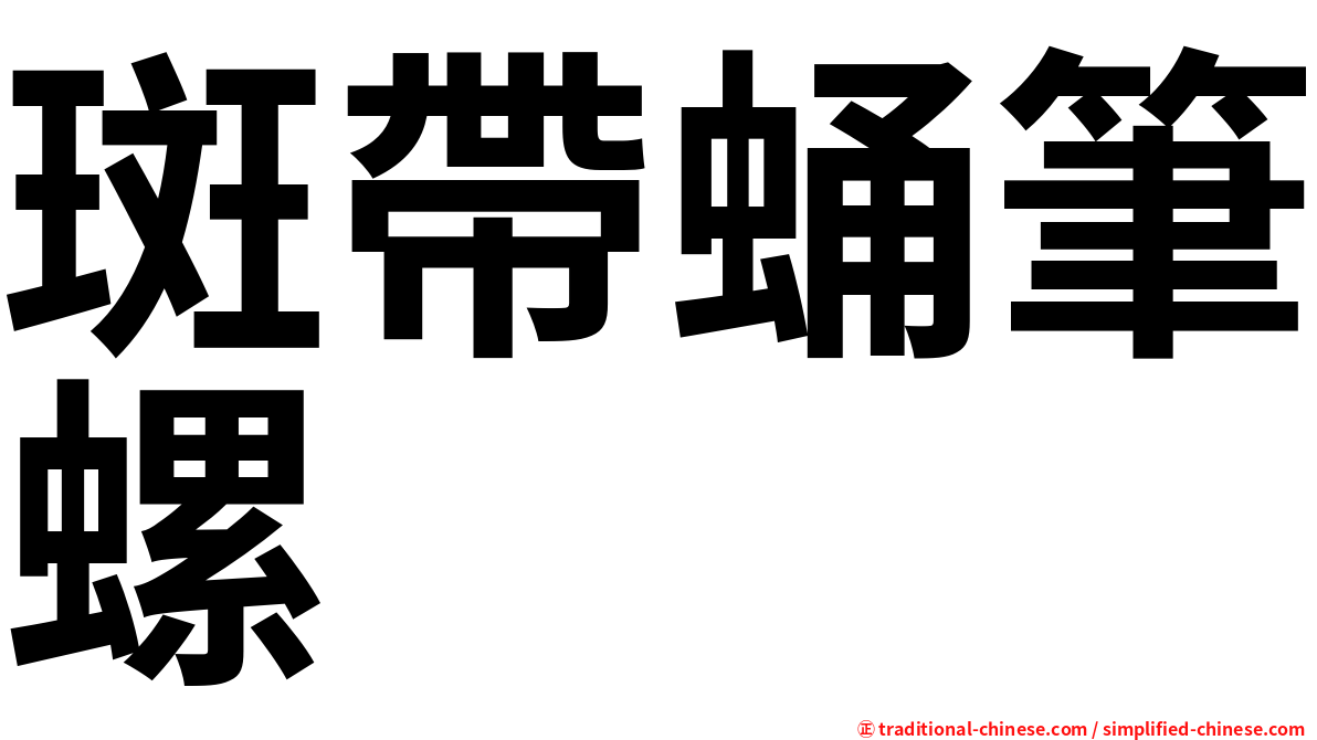 斑帶蛹筆螺
