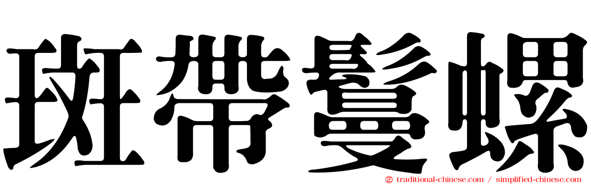 斑帶鬘螺