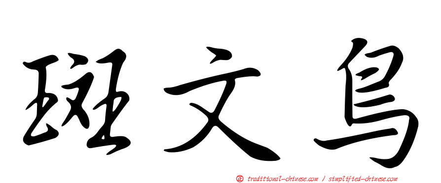斑文鳥