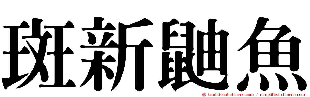 斑新鼬魚