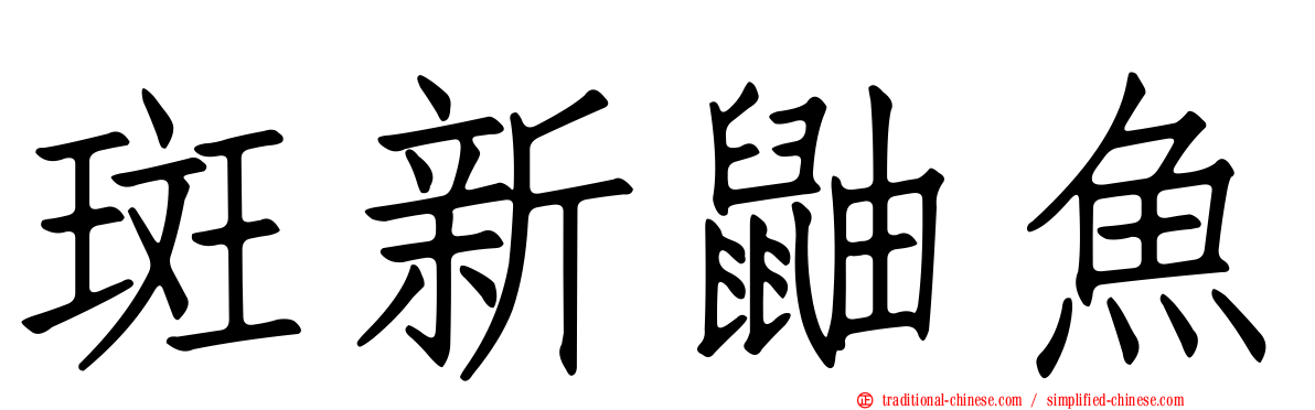 斑新鼬魚