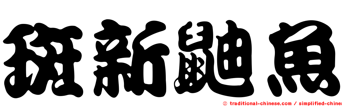 斑新鼬魚
