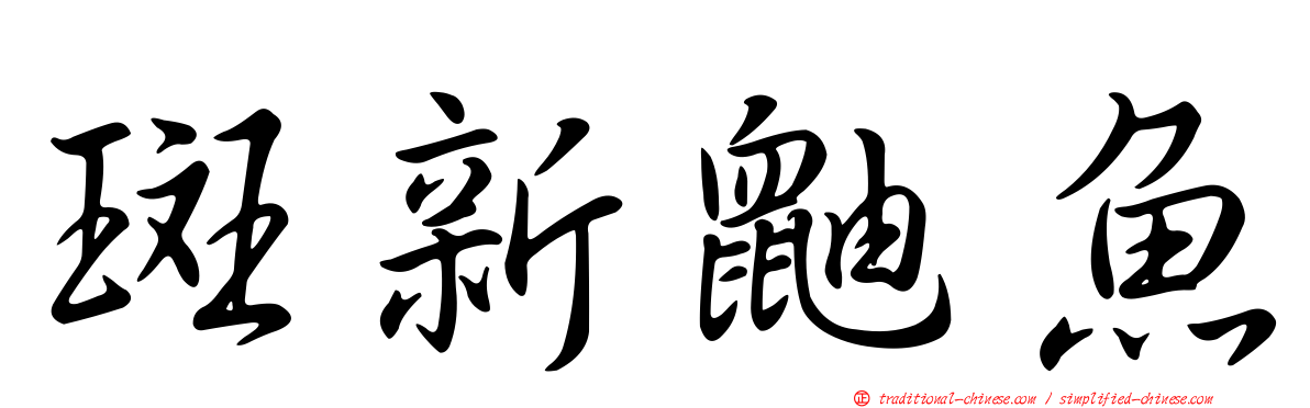 斑新鼬魚