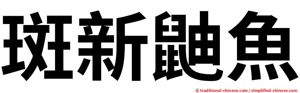 斑新鼬魚